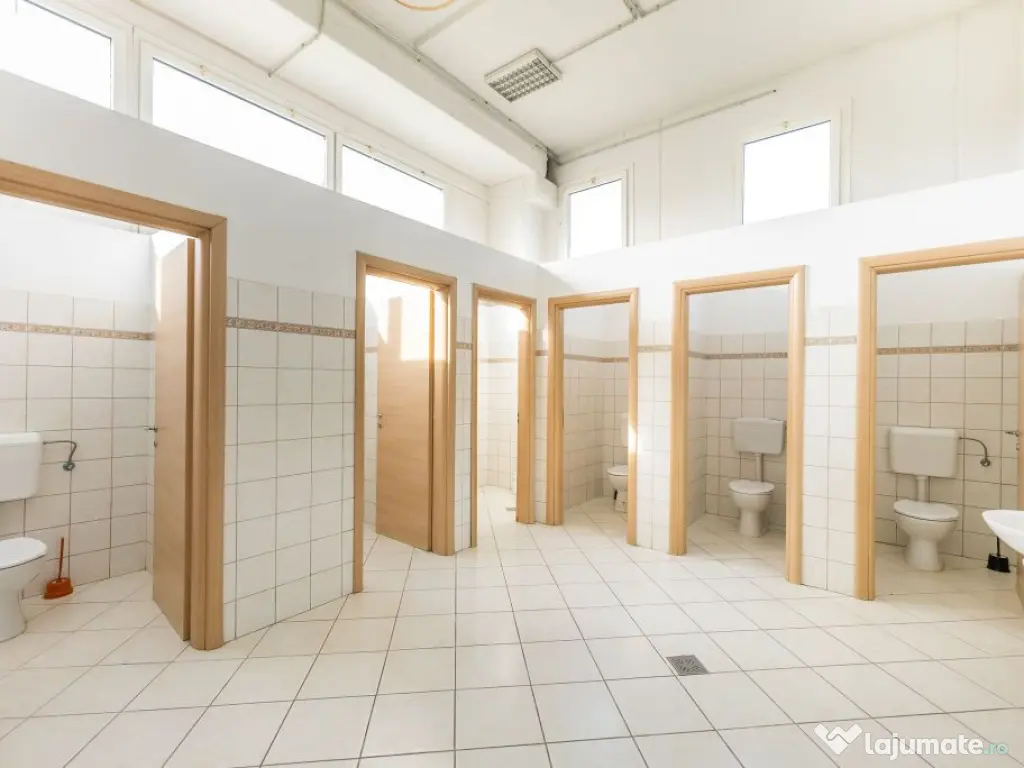 Hală producție în localitatea Sântana Comision 0% la ...