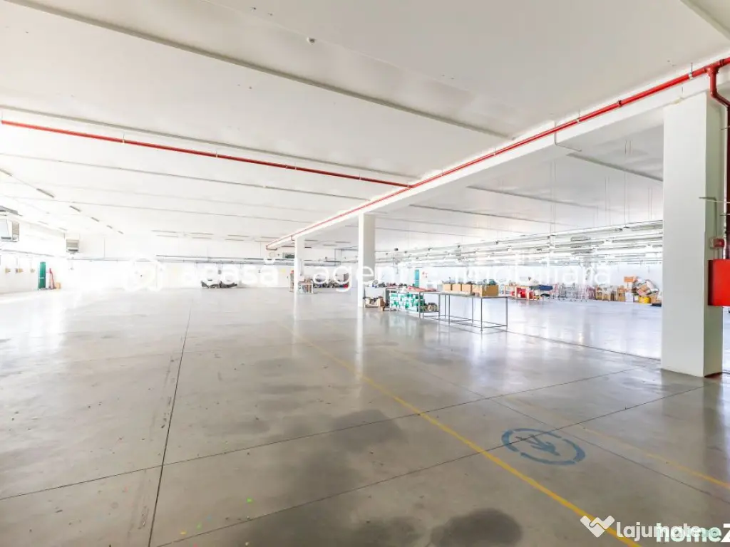 Hală producție în localitatea Sântana Comision 0% la ...