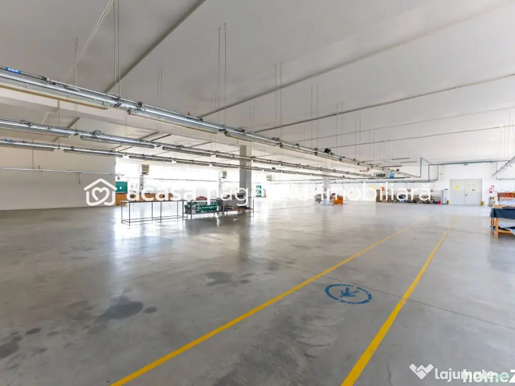 Hală producție în localitatea Sântana Comision 0% la ...