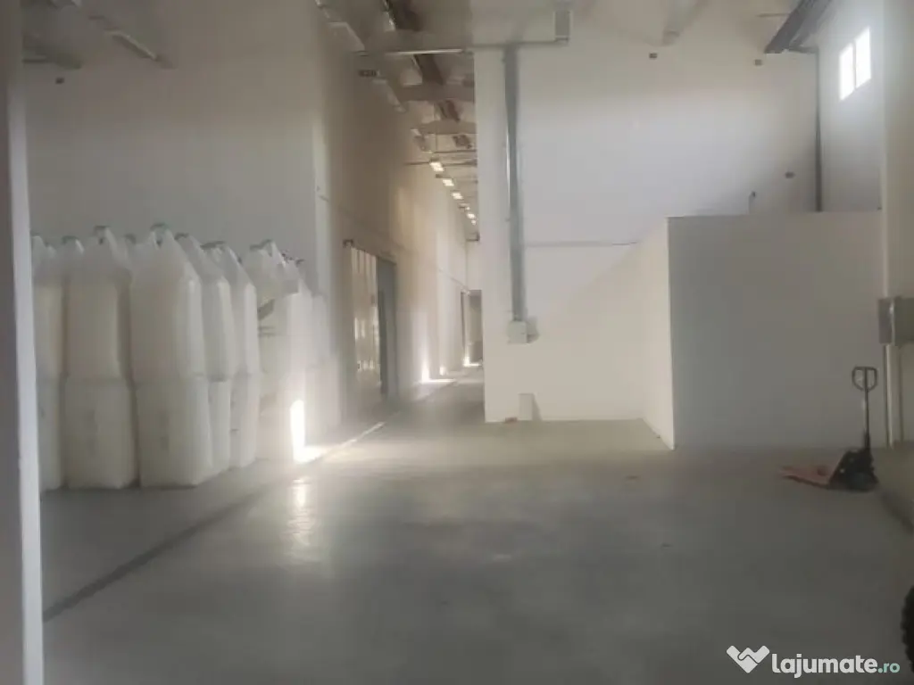 Hala zona de nord Buftea