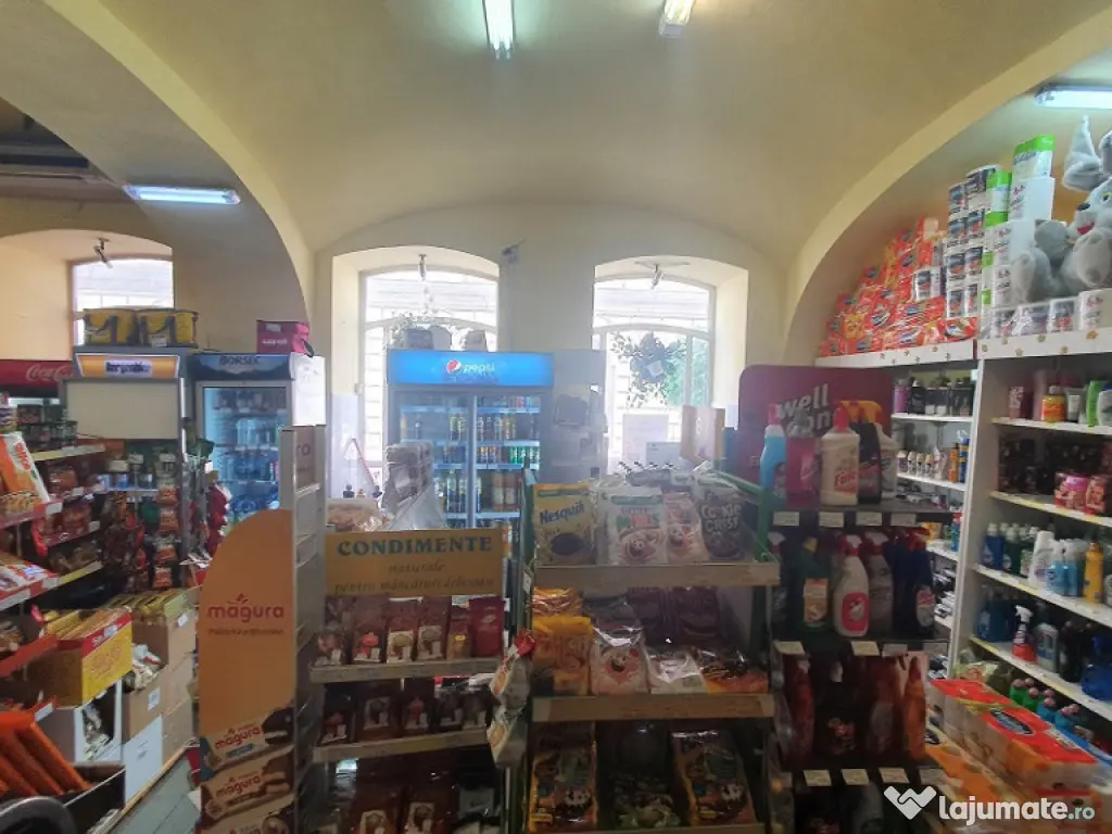 Inchiriez sp. com. zona Centrala - ID : RH-31720-property