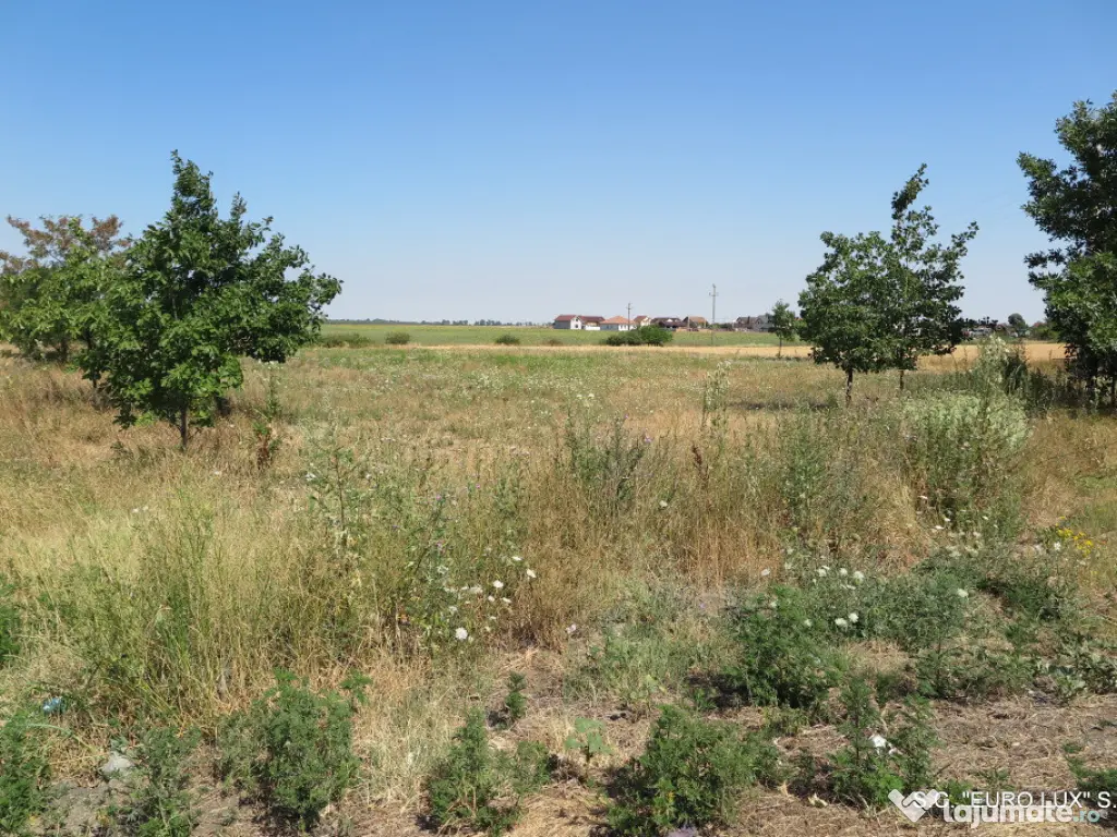 Teren intravilan - Zimand Cuz 