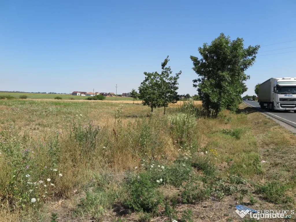 Teren intravilan - Zimand Cuz 