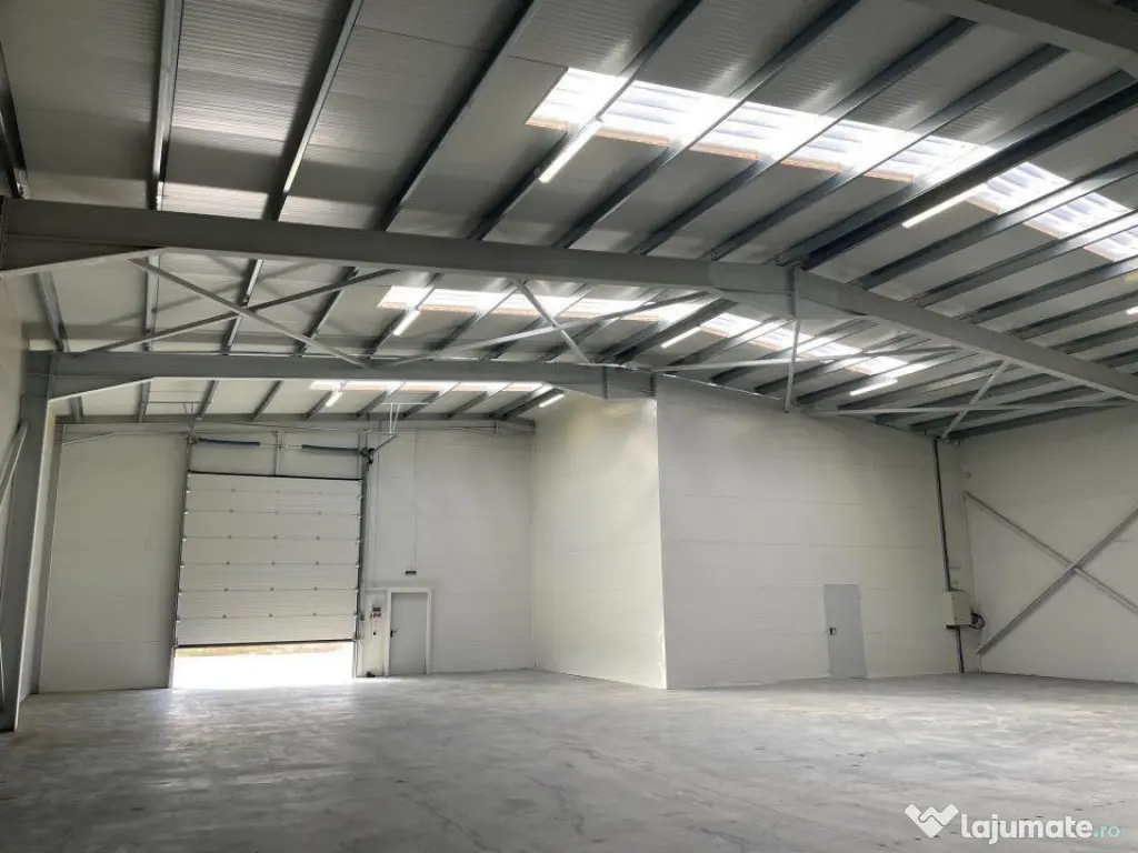 Spatiu depozitare si productie Chitila - Rudeni 