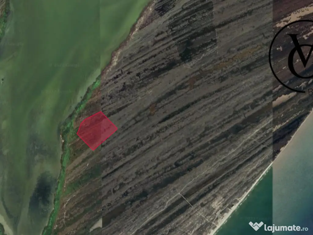 Investitie- Teren Corbu-Grindul Lui Chituc