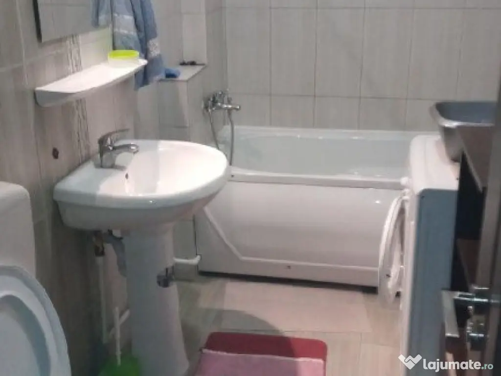 Apartament 1 camera bUCOVINA