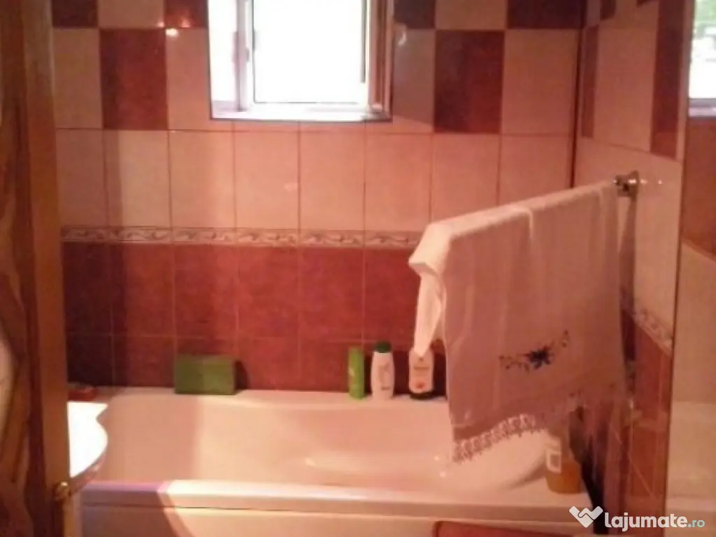 1 camera zona Torontalului