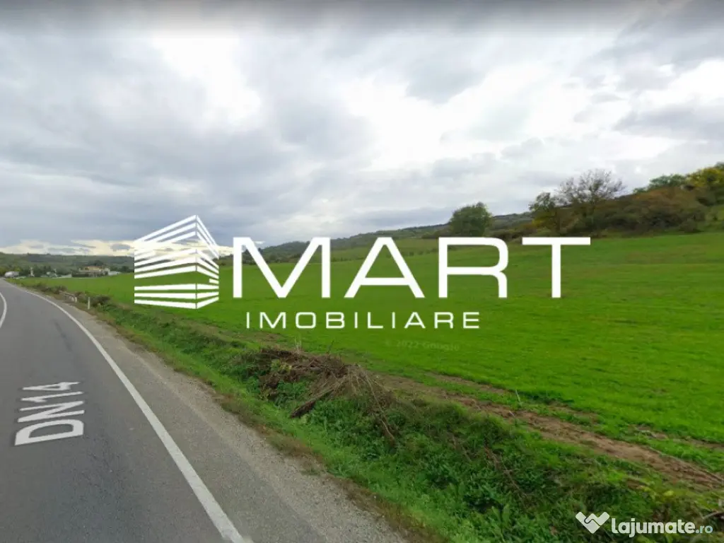 Teren extravilan 42000MP Seica Mare - Sibiu