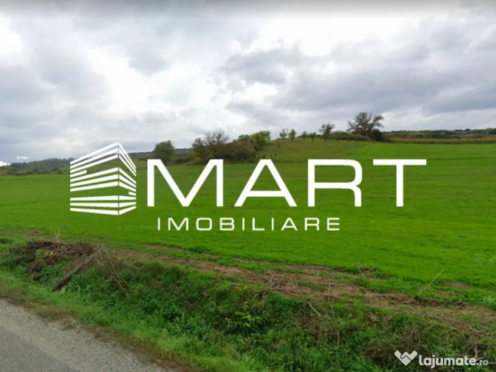 Teren extravilan 42000MP Seica Mare - Sibiu