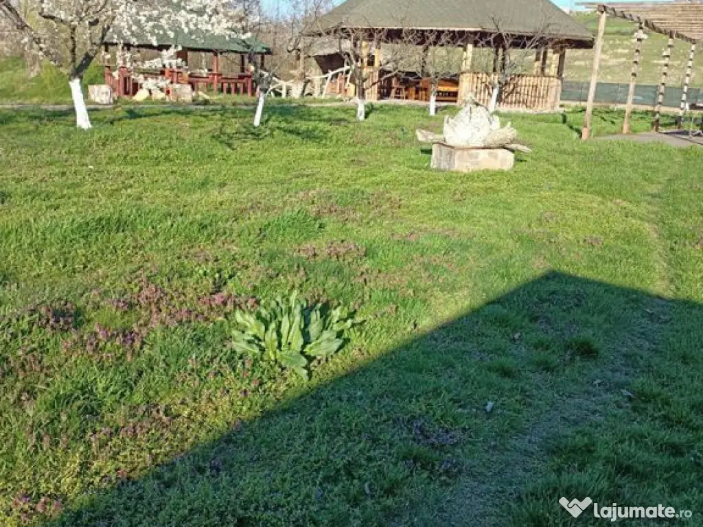 Slatina adiacent la 6 km teren 21819 mp Hala 1400 mp casa... 