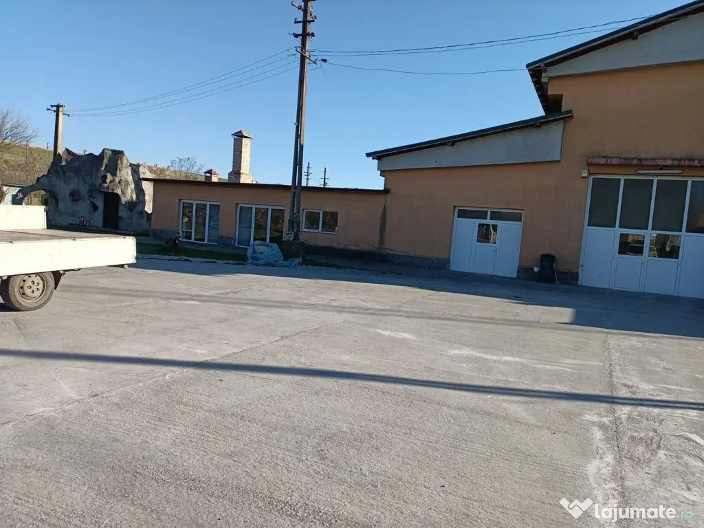 Slatina adiacent la 6 km teren 21819 mp Hala 1400 mp casa... 