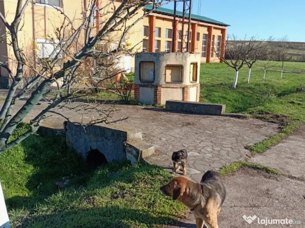 Slatina adiacent la 6 km teren 21819 mp Hala 1400 mp casa... 