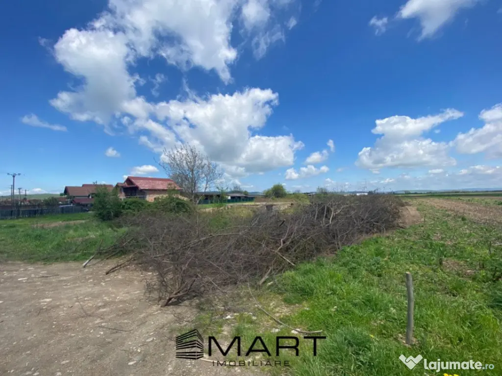 Teren intravilan 7130mp Orlat