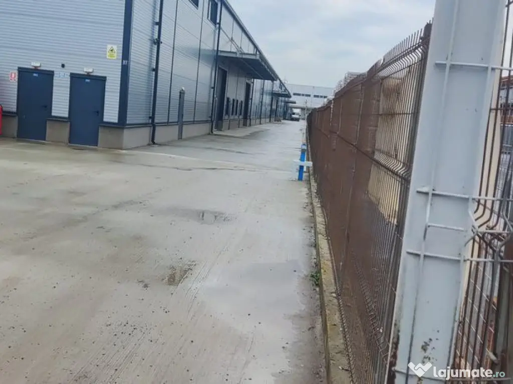 Hale noi 475 mp Afumati -Doraly 