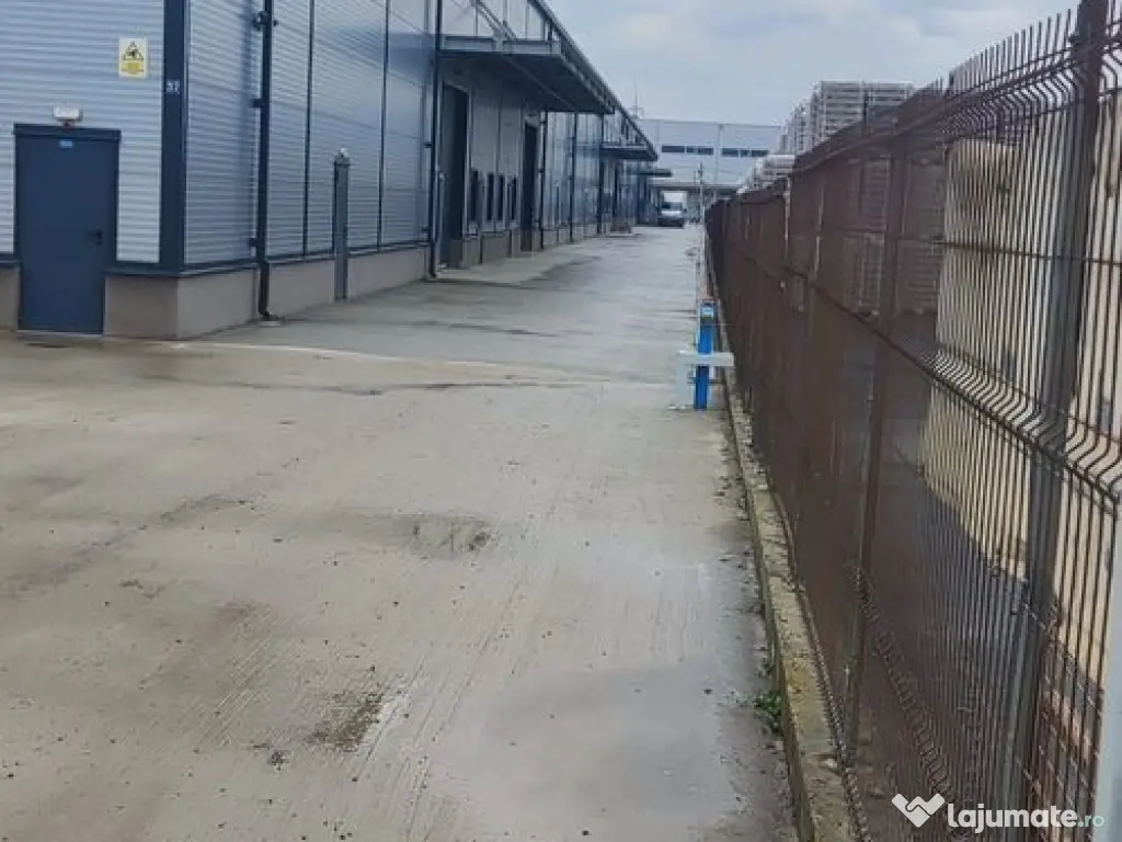 Hale noi 475 mp Afumati -Doraly 