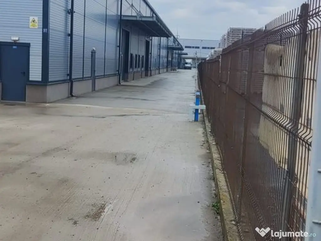 Hale noi 475 mp Afumati -Doraly 