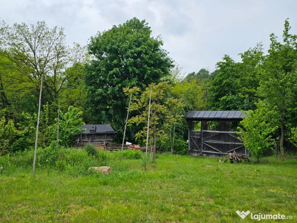 Carbunari,50 ari teren