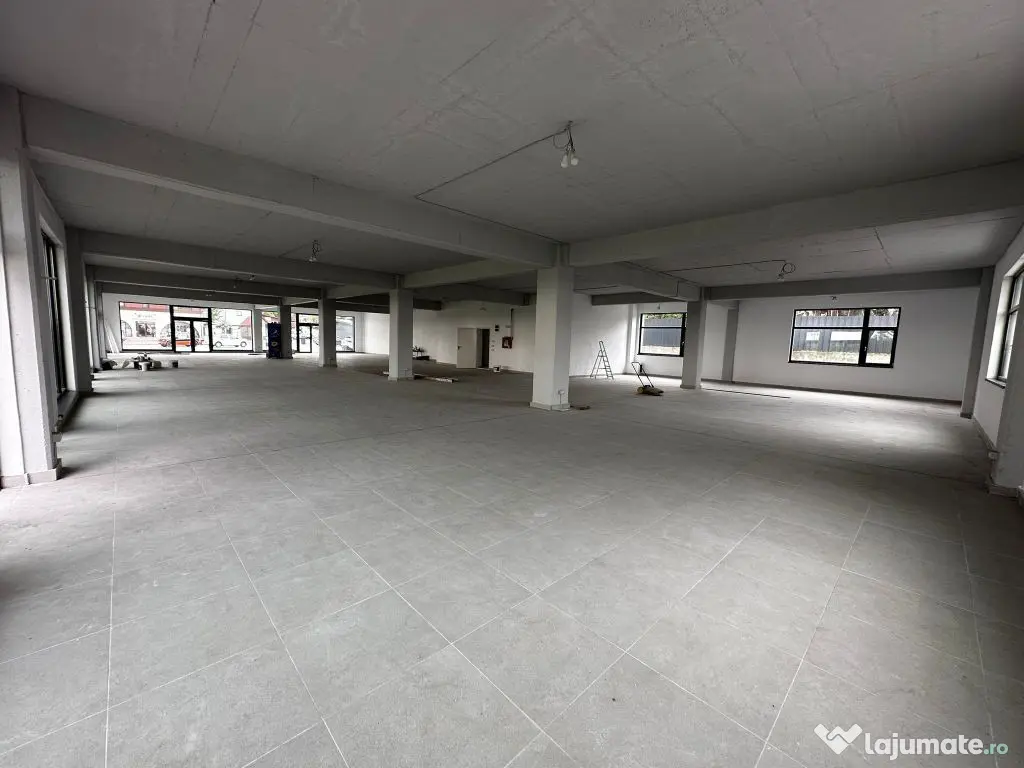 Zona Pallady, imobil nou S+P+1+terasa, ideal pentru diver... 