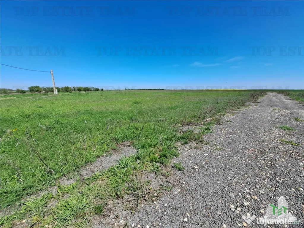 Loturi teren de Branesti/Vadu Anei