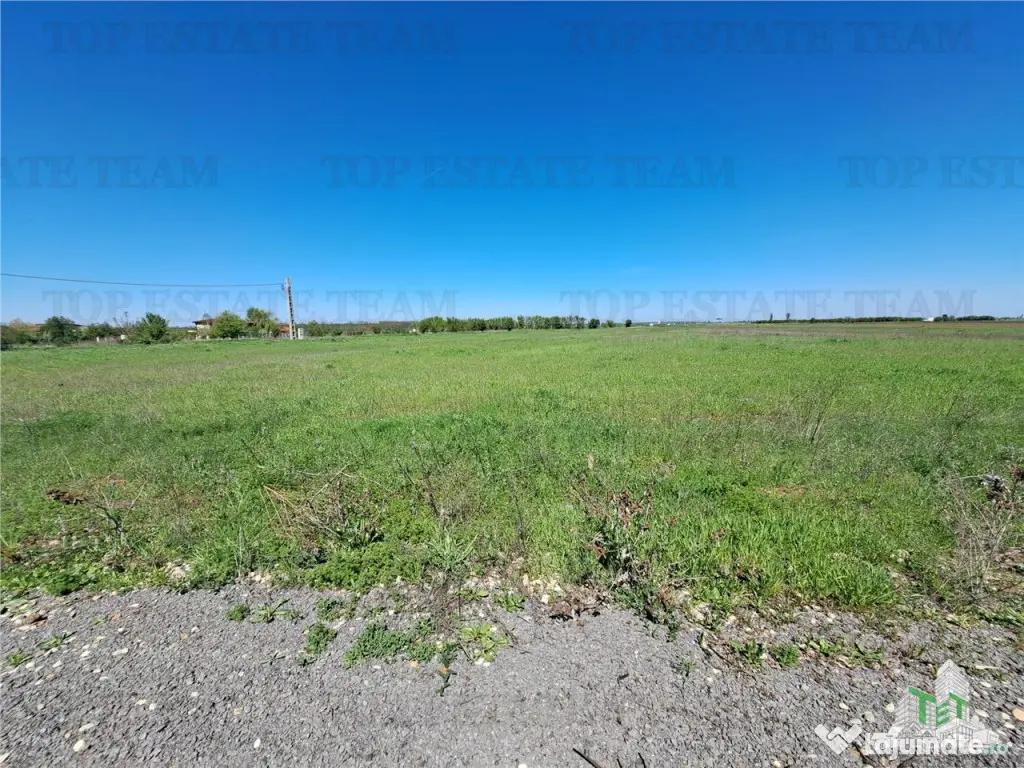 Loturi teren de Branesti/Vadu Anei