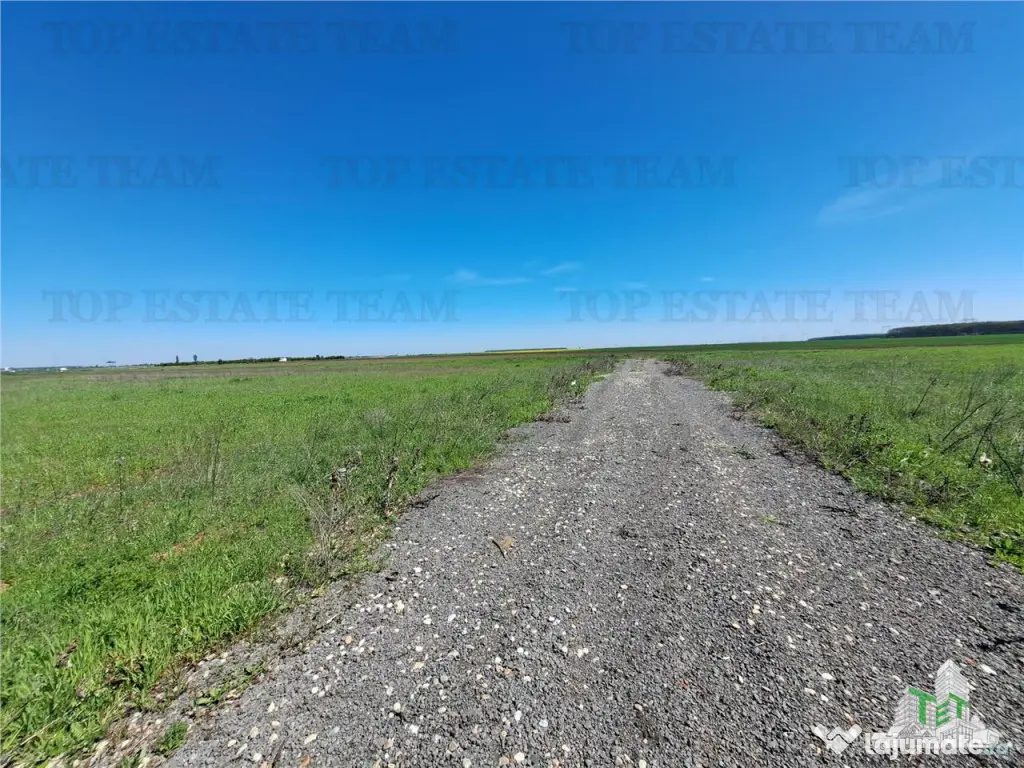 Loturi teren de Branesti/Vadu Anei