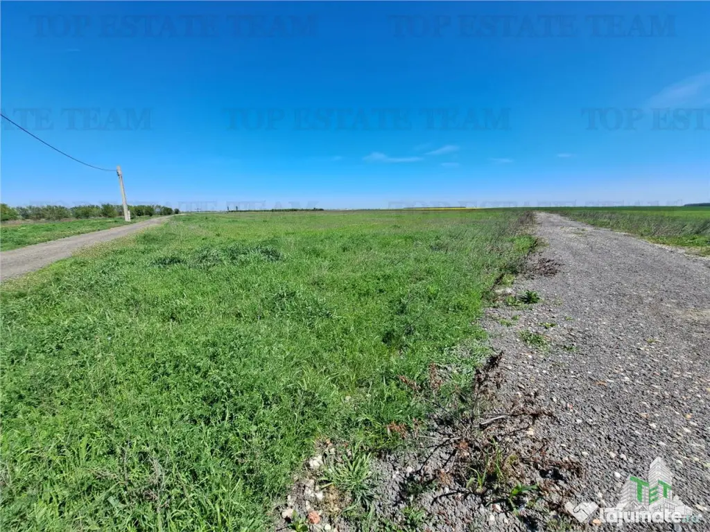 Loturi teren de Branesti/Vadu Anei