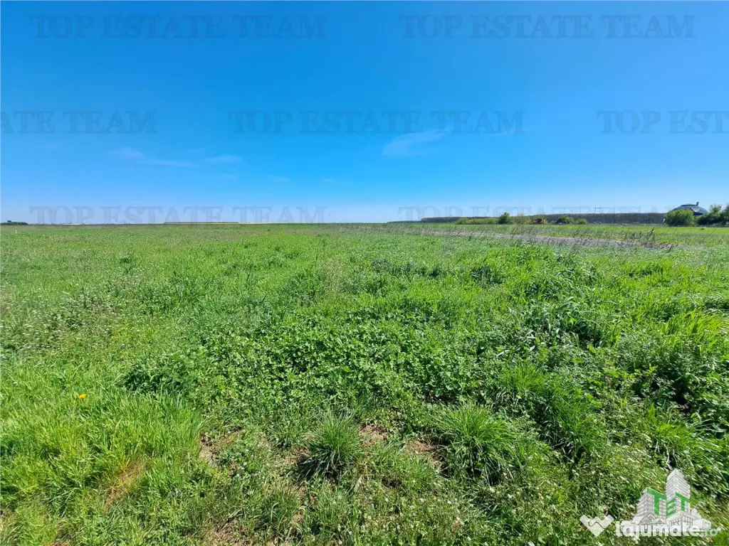 Loturi teren de Branesti/Vadu Anei