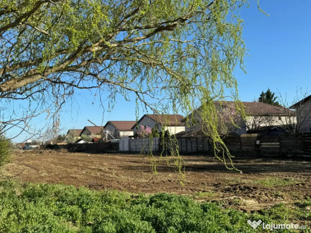 Domnești, Drumul Târgului, teren 1250mp, deschidere 20ml, 