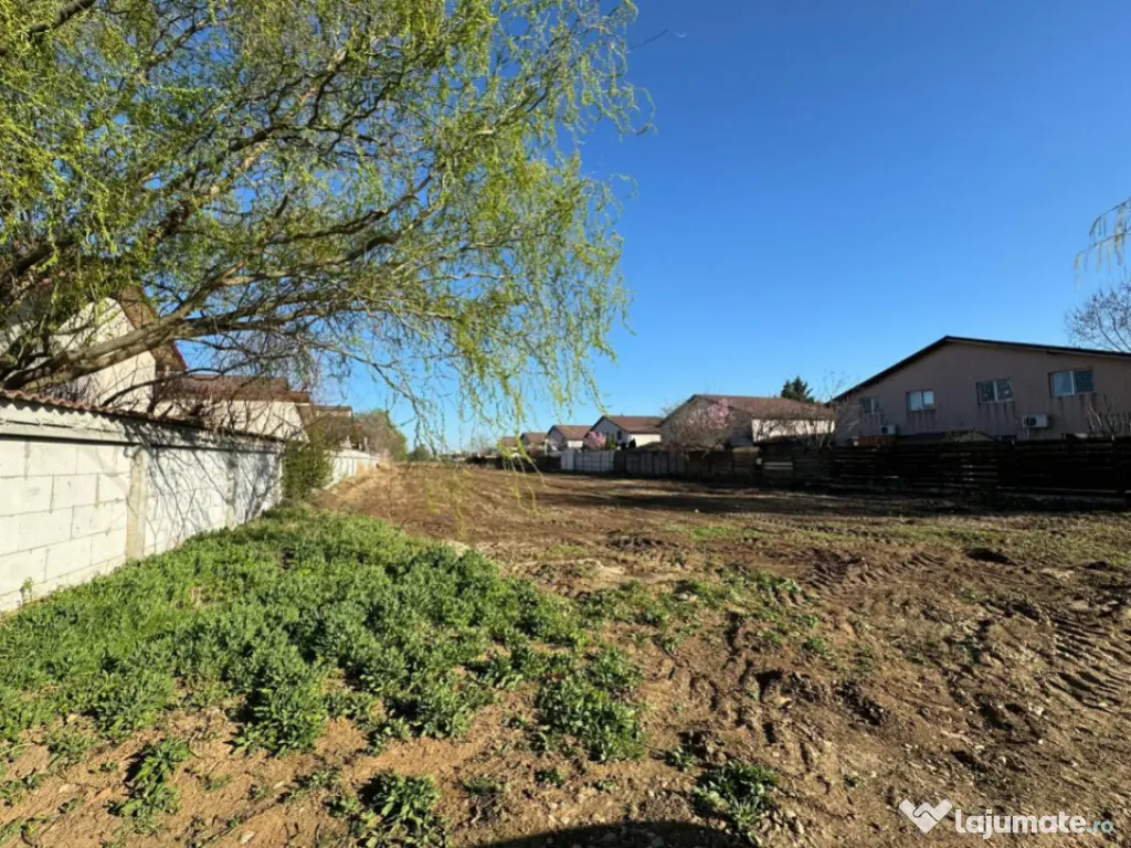 Domnești, Drumul Târgului, teren 1250mp, deschidere 20ml, 