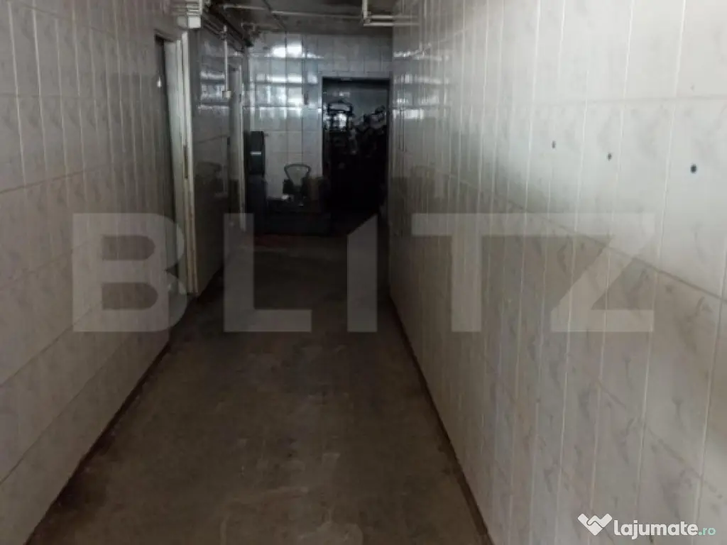 Hala industriala, 5 camere, 895mp, Sangeorgiu de Mures