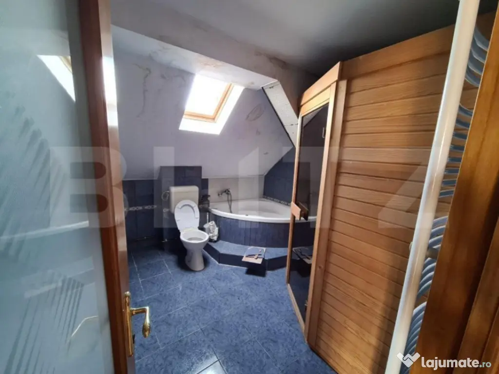 Casa, proprietate pretabila pentru sediu de firma + hala pro