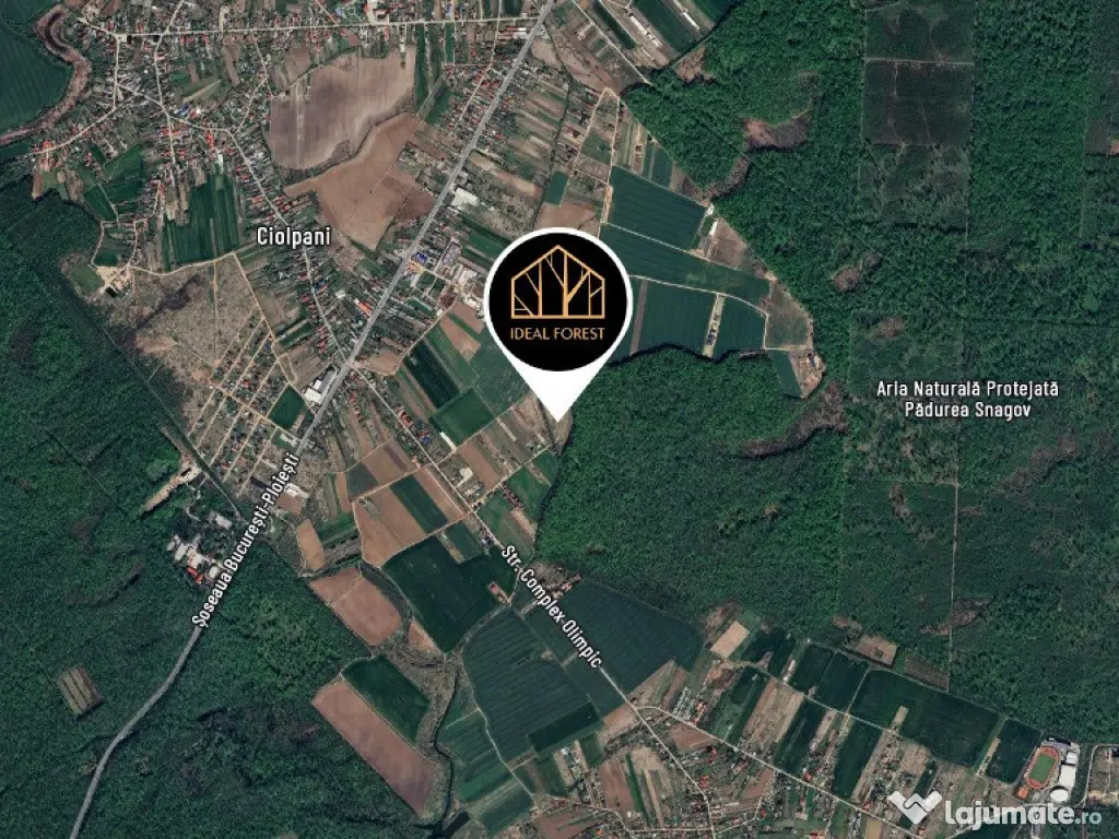 Ideal Forest - VINDEM LOT 1 - 511 m2 DESCHIDERE LA PADUREA SNAGOV 