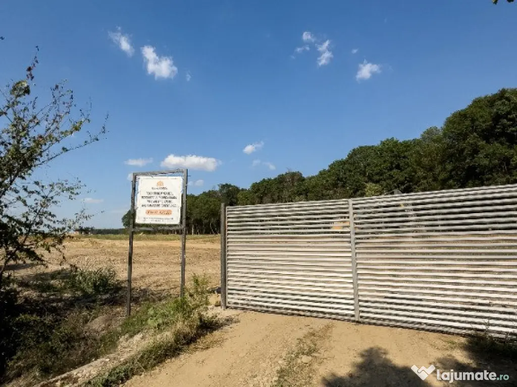 Vindem loturi de teren cu deschidere la padurea Snagov 