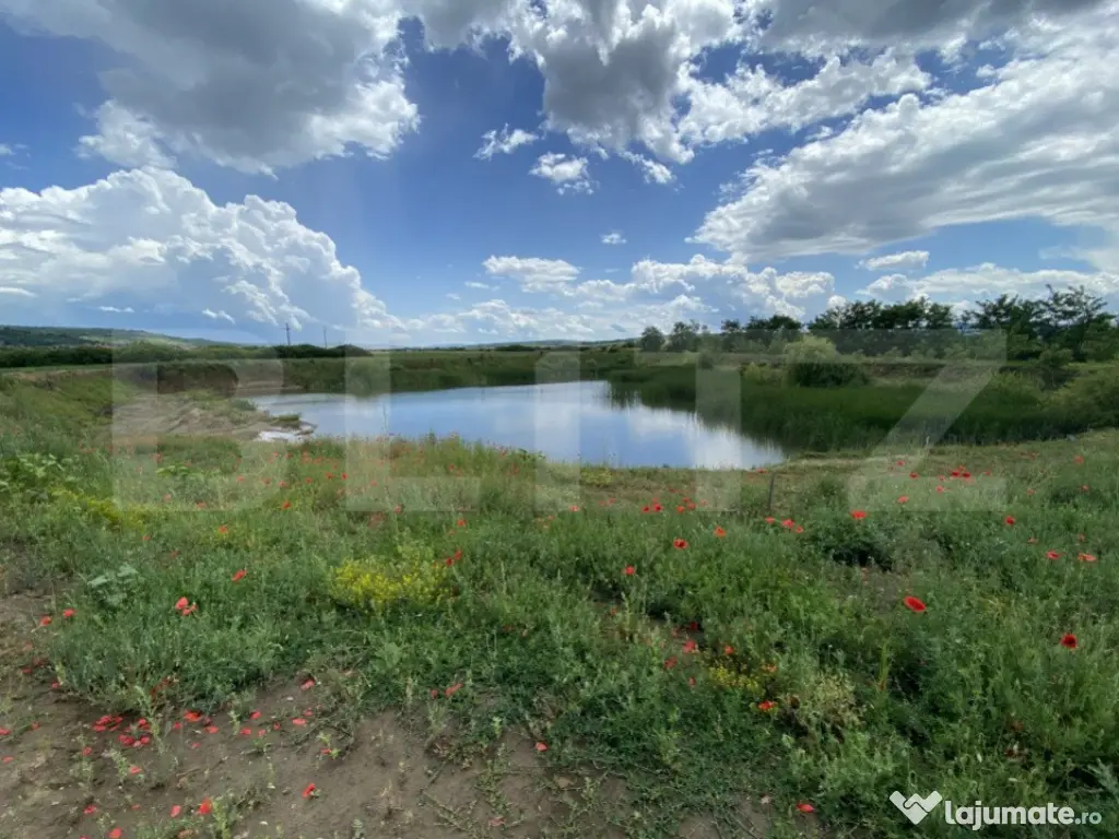 Teren extravilan 10000 mp, cu balta de peste, Salaj, Sarmasa