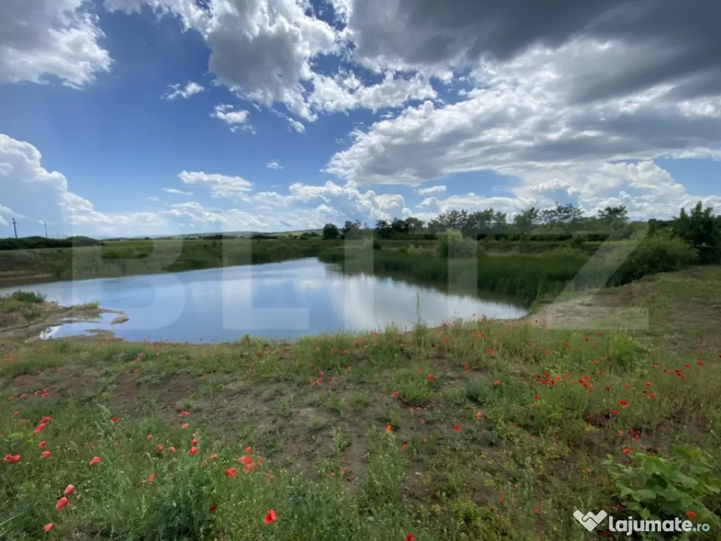 Teren extravilan 10000 mp, cu balta de peste, Salaj, Sarmasa