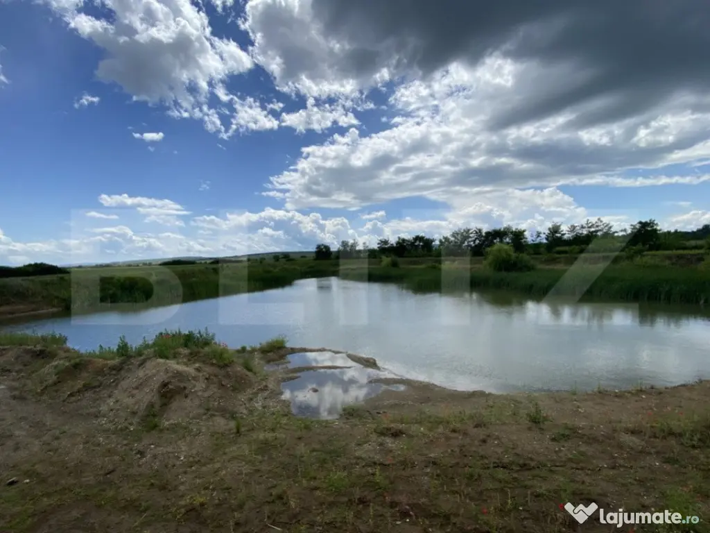 Teren extravilan 10000 mp, cu balta de peste, Salaj, Sarmasa