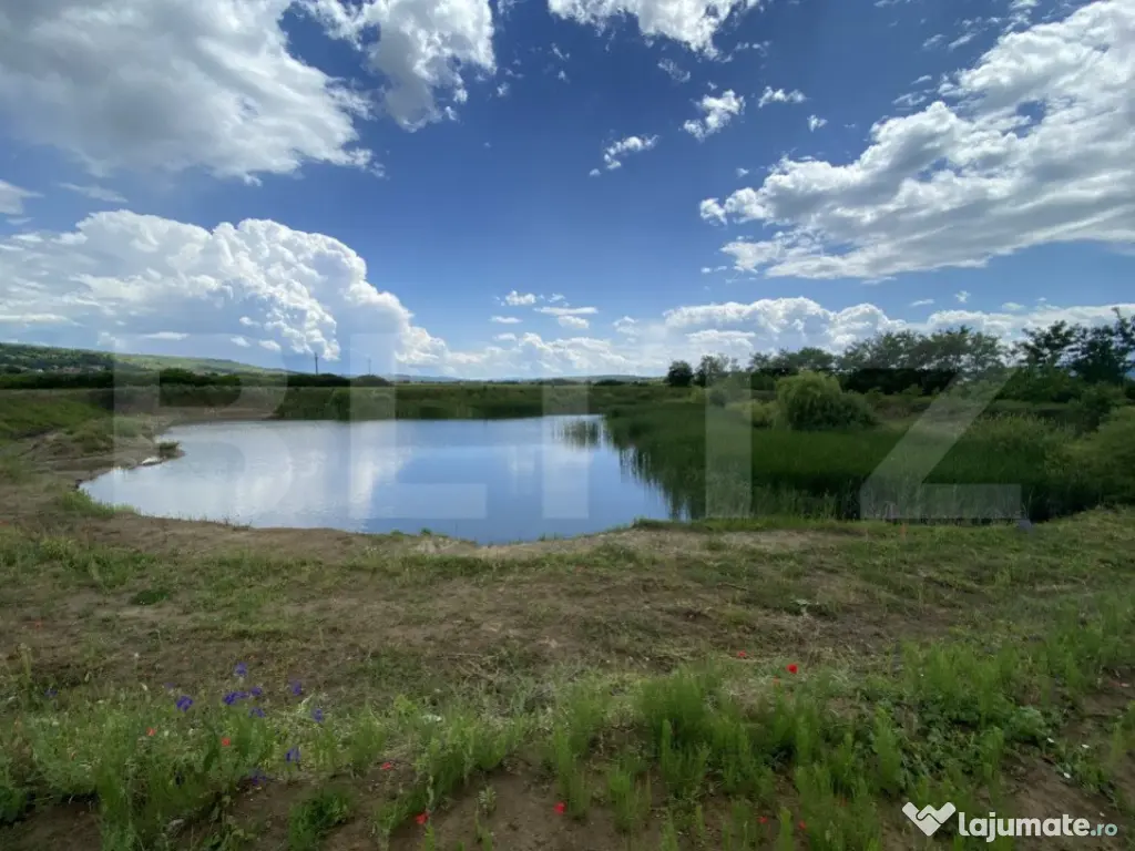 Teren extravilan 10000 mp, cu balta de peste, Salaj, Sarmasa