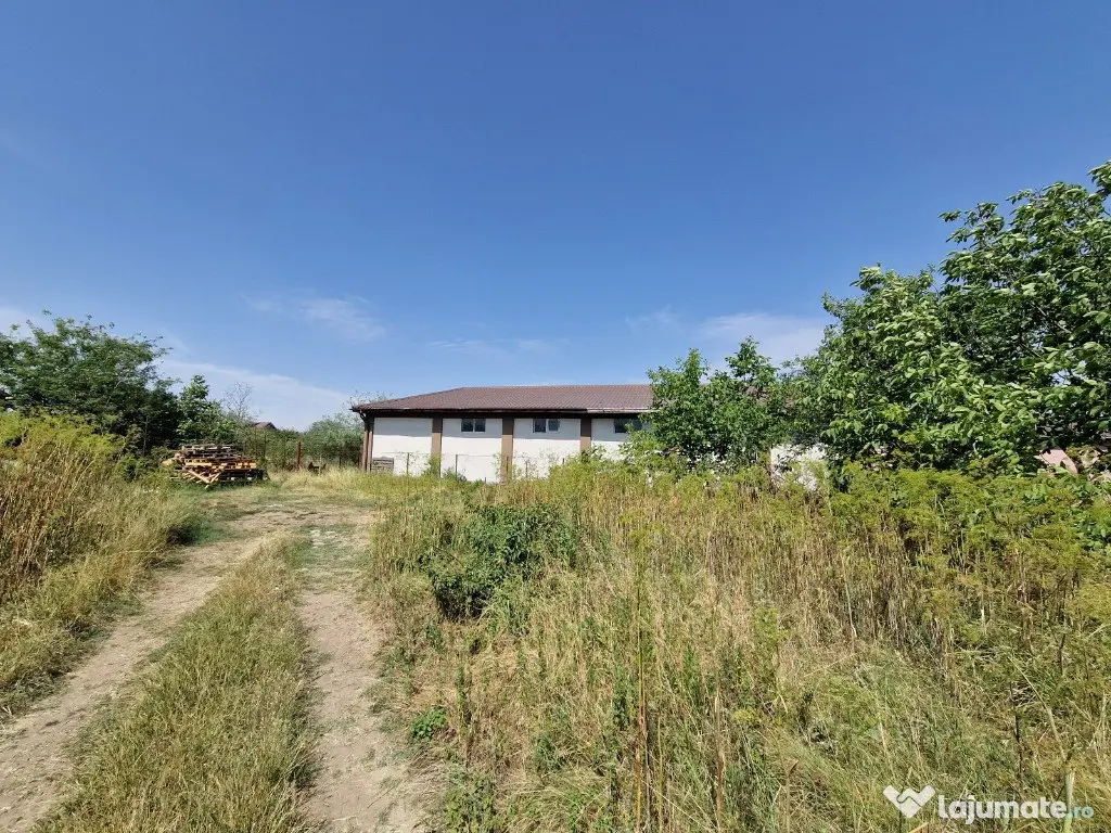 Domnesti - Ciutaci, vanzare 4 loturi de teren intravilan 