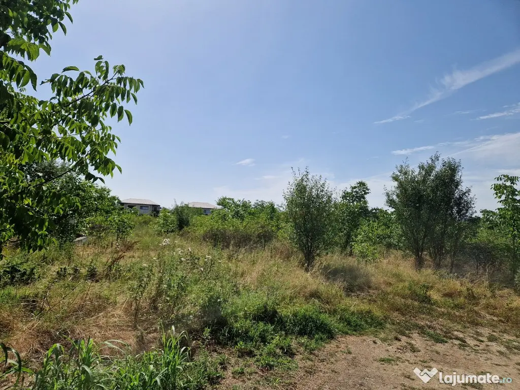 Domnesti - Ciutaci, vanzare 4 loturi de teren intravilan 