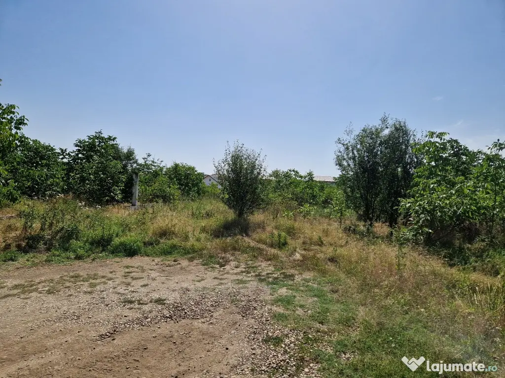 Domnesti - Ciutaci, vanzare 4 loturi de teren intravilan 