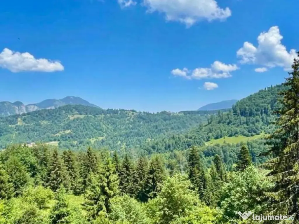 Imobil NOU, in inima muntilor, 24 apartamente 