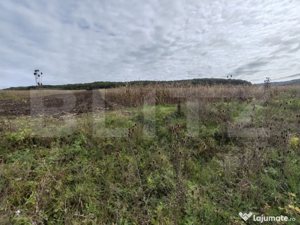 Teren intravilan de vanzare