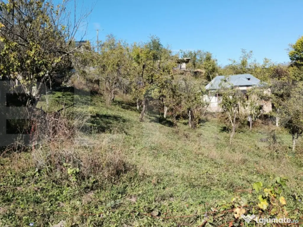 Teren cu priveliște superba , livadă și potențial căsu? 