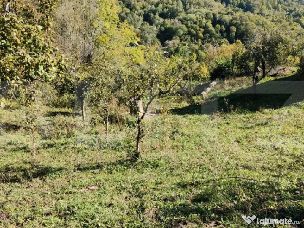 Teren cu priveliște superba , livadă și potențial căsu? 