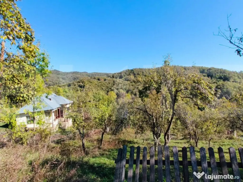 Teren cu priveliște superba , livadă și potențial căsu? 