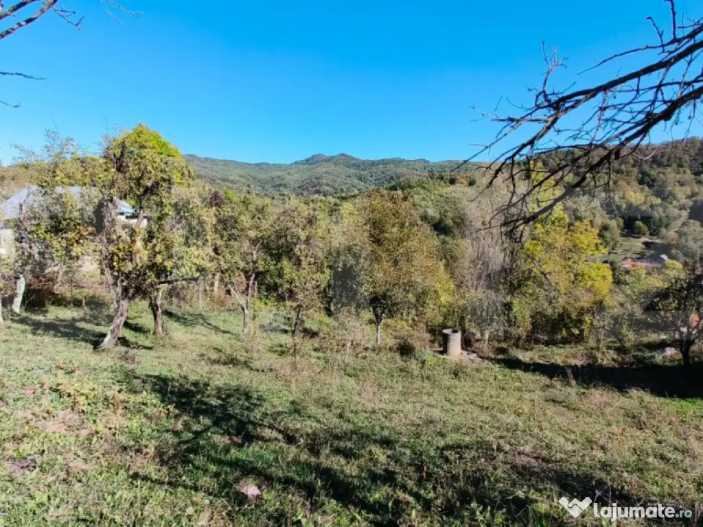 Teren cu priveliște superba , livadă și potențial căsu? 