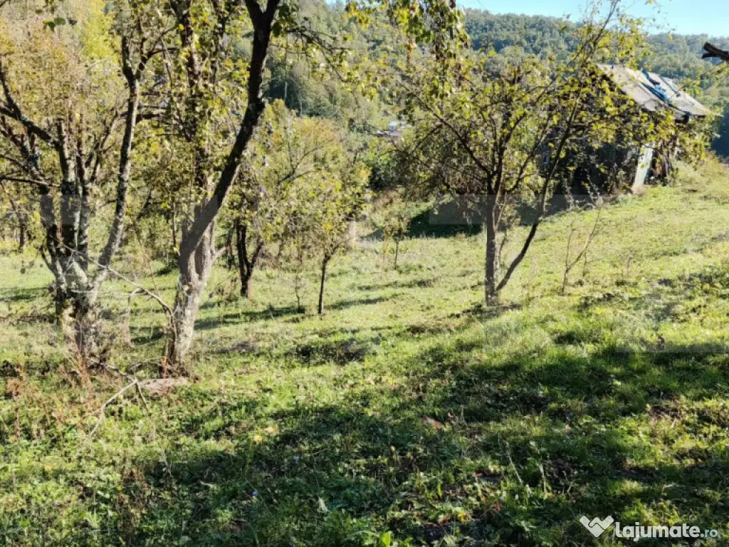 Teren cu priveliște superba , livadă și potențial căsu? 