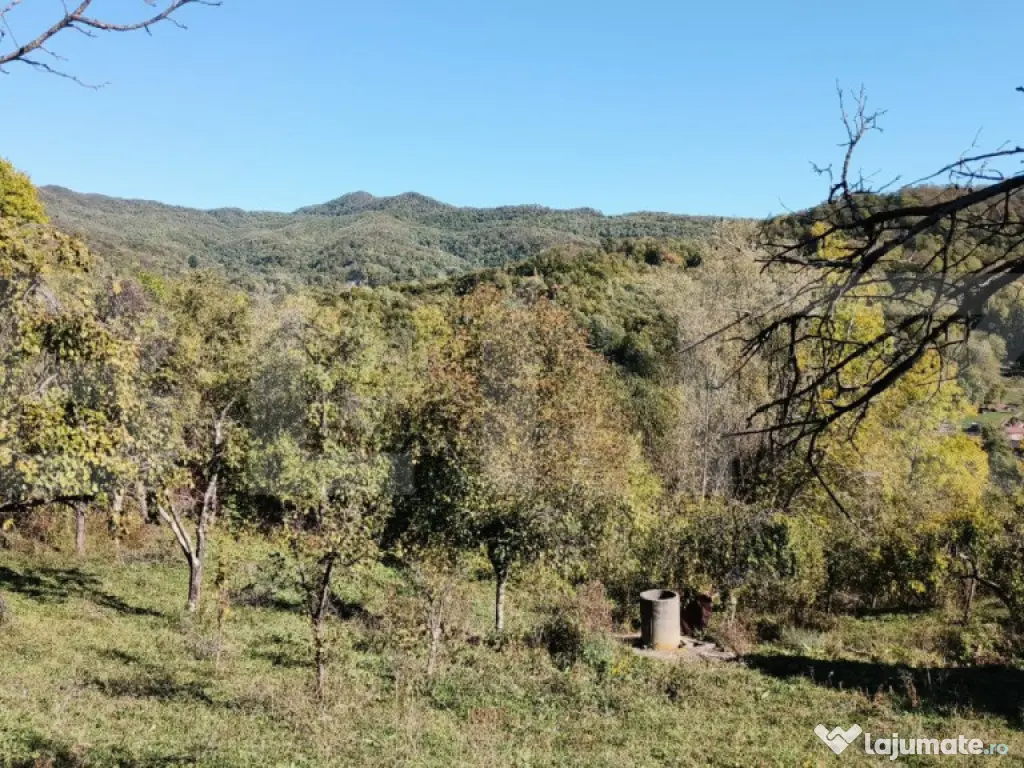 Teren cu priveliște superba , livadă și potențial căsu? 