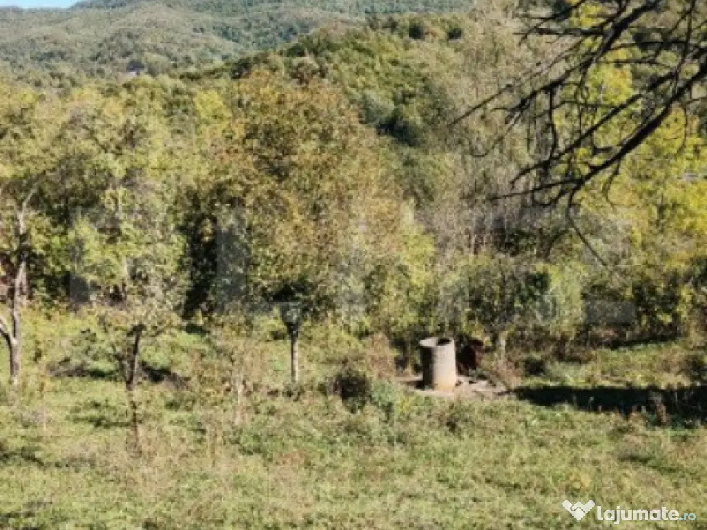 Teren cu priveliște superba , livadă și potențial căsu? 