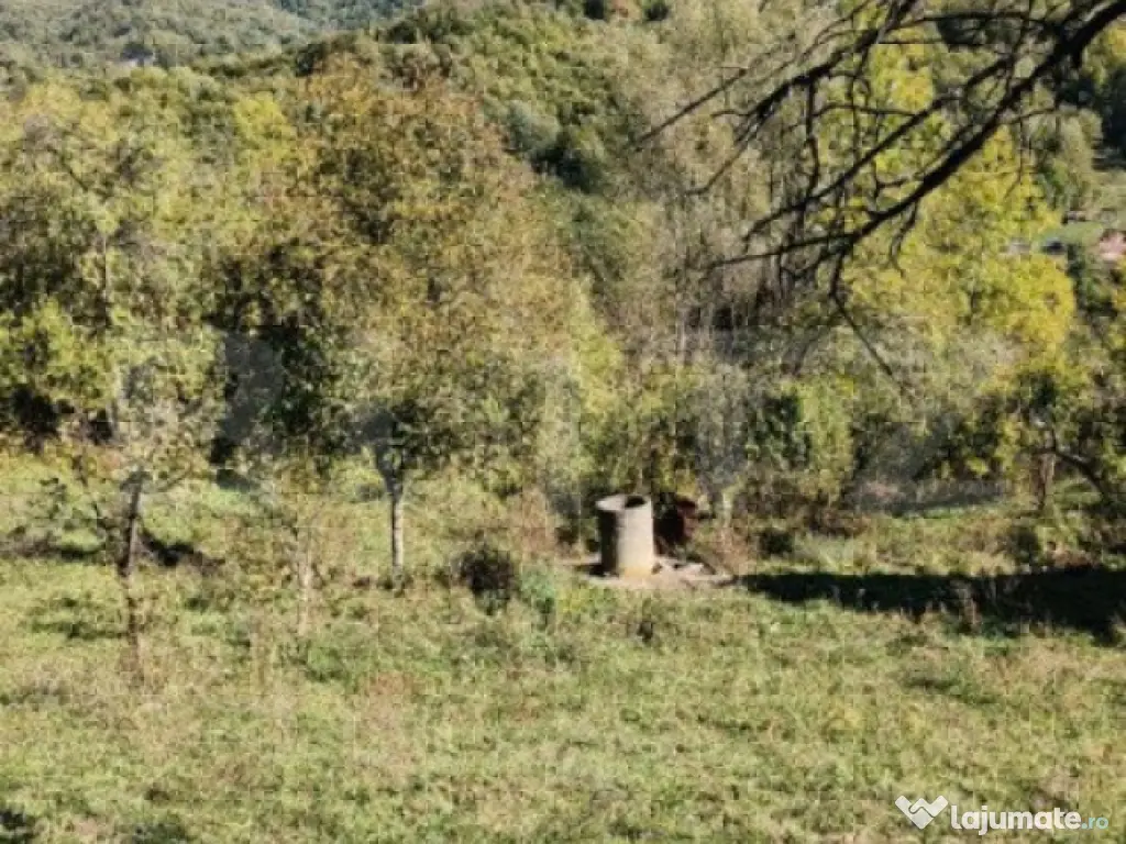 Teren cu priveliște superba , livadă și potențial căsu? 